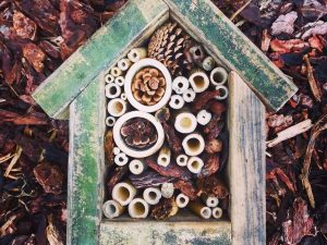 Bug Hotel – Workshop Review – Prep – Faiers M, Mrs (Head of Science)